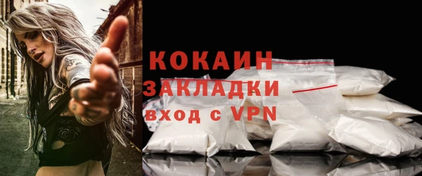 индика Алексин