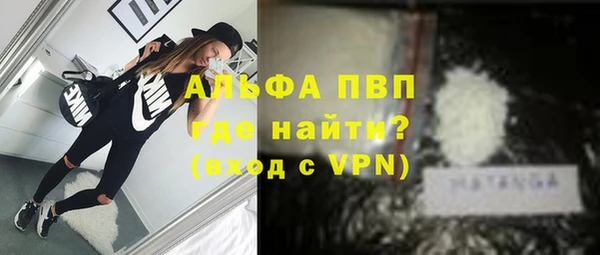 индика Алексин