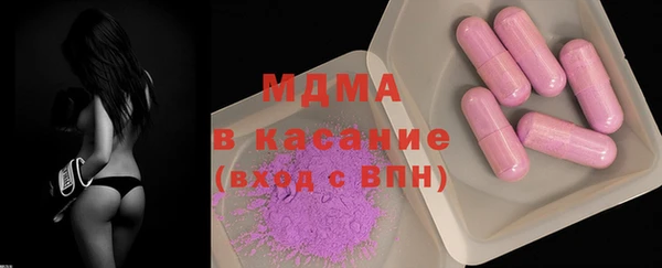 индика Алексин