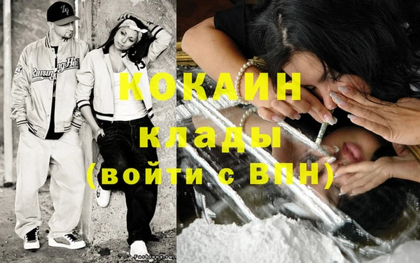 индика Алексин