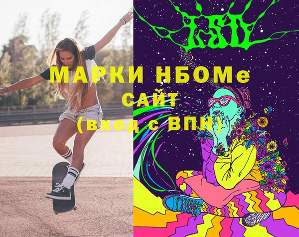 индика Алексин