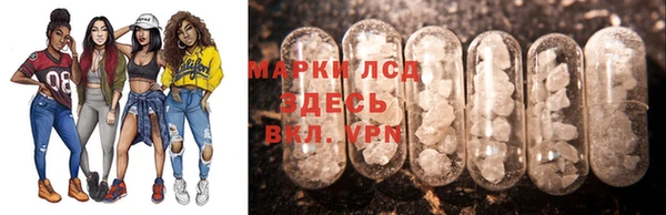 индика Алексин